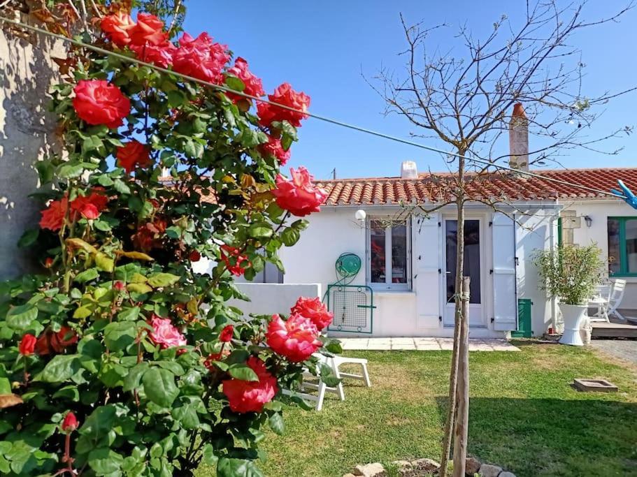 Villa La Maison Du Marin Saint-Gilles-Croix-de-Vie Exterior foto